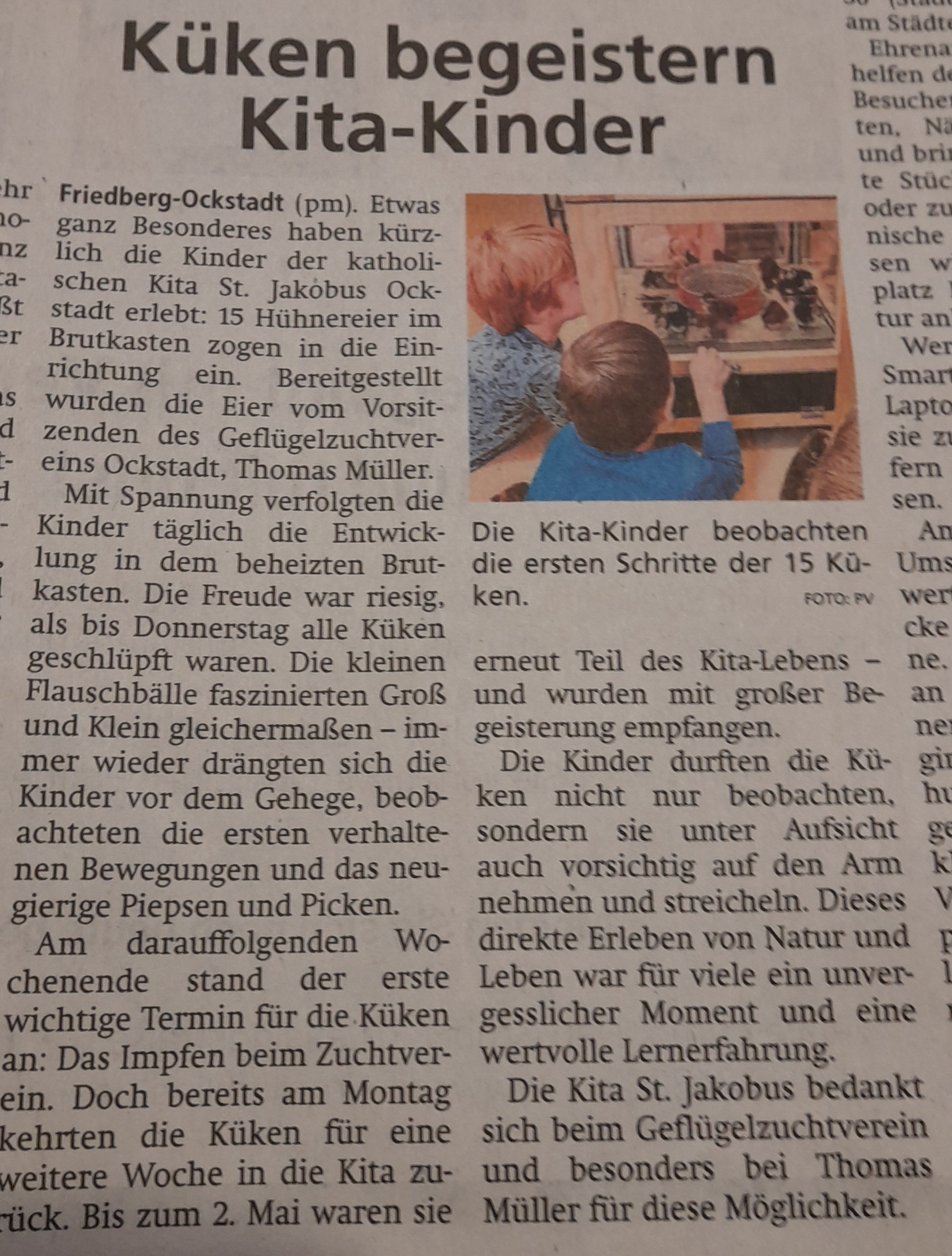 Zeitungsbericht Kita